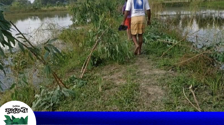 নবীগঞ্জে রাতের আধারে ৫ শতাধিক গাছের চারা কর্তন