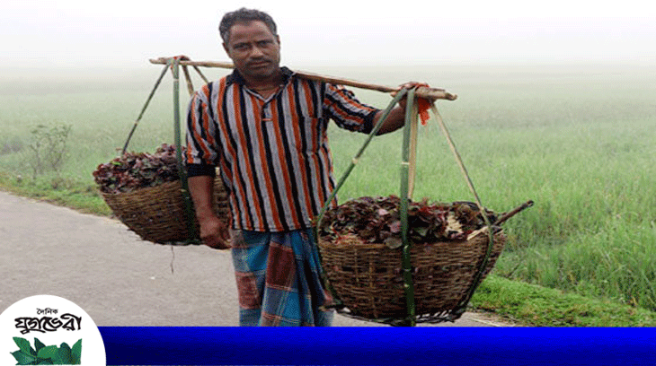 বিয়ানীবাজারে ভাসমান লাল শাকের ফেরিওয়ালাদের দিনকাল কেমন ?