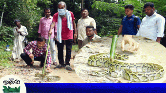 চিকিৎসকের বাসায় উদ্ধার হওয়া অজগর খাদিমনগর জাতীয় উদ্যানে অবমুক্ত