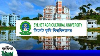 সিকৃবির গবেষকদের সাফল্য : হাওরে সবজি চাষে নিরব বিপ্লব