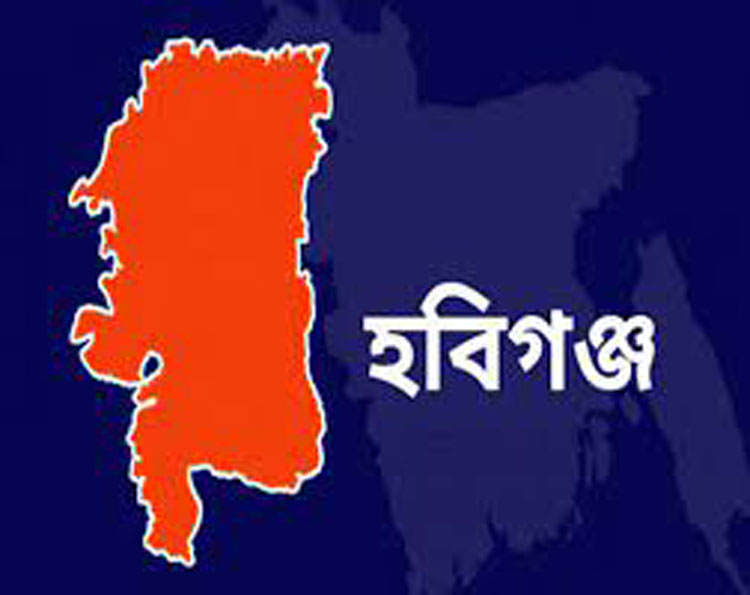 হবিগঞ্জেও নৌকার বিপর্যয়