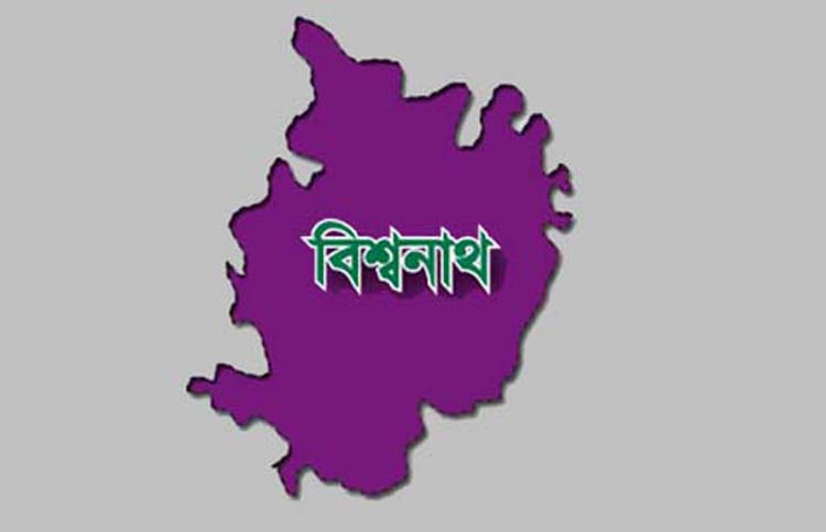 সম্পত্তি ভাগ-বাটোয়ারা নিয়ে সালিশী বৈঠকে মারামারি! থানায় মামলা দায়ের