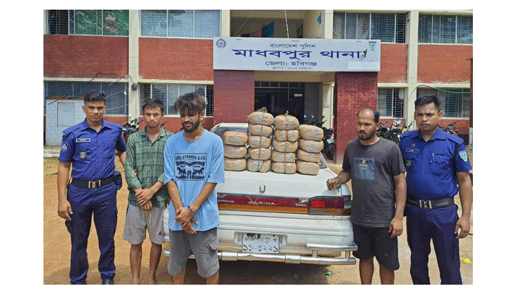 মাধবপুরে ৩৪ কেজি গাঁজাসহ ৩ মাদক কারবারি গ্রেপ্তার