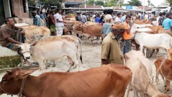 অর্ধশতাব্দি পর কাজির বাজার পশুর হাটের মালিকানায় পরিবর্তন, আছে শঙ্কাও